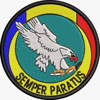 ECUSON / EMBLEMA - DETASAMENTUL SEMPER PARATUS